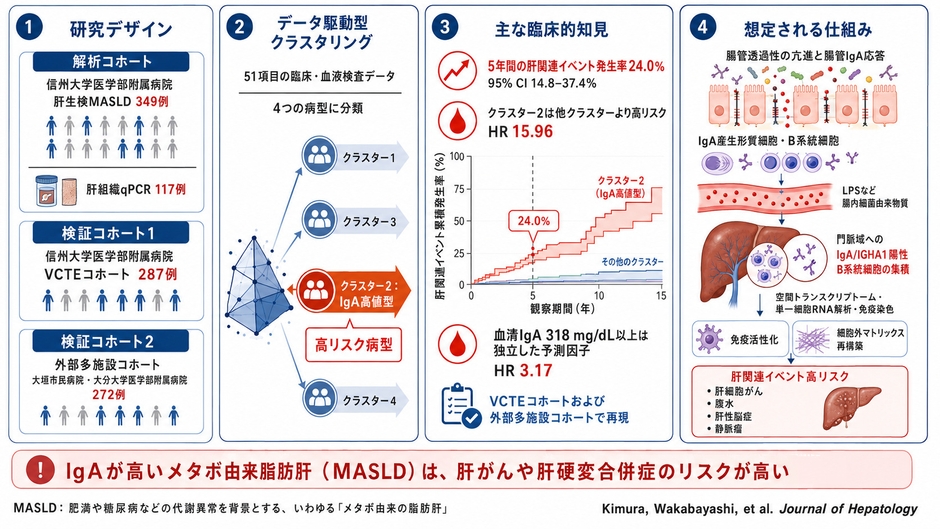 図1　研究の全体像(論文Graphical Abstract)