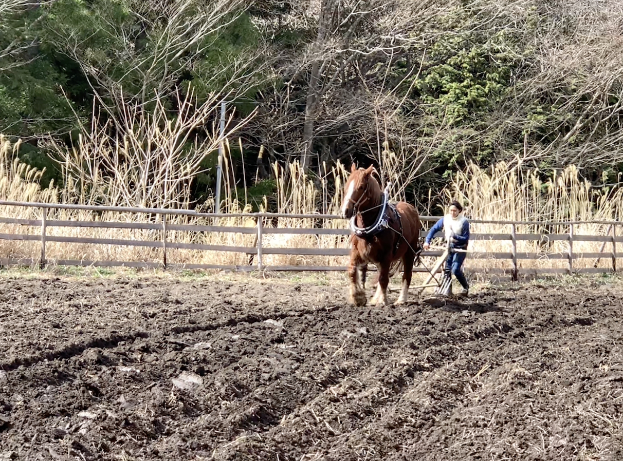 田起こしの様子