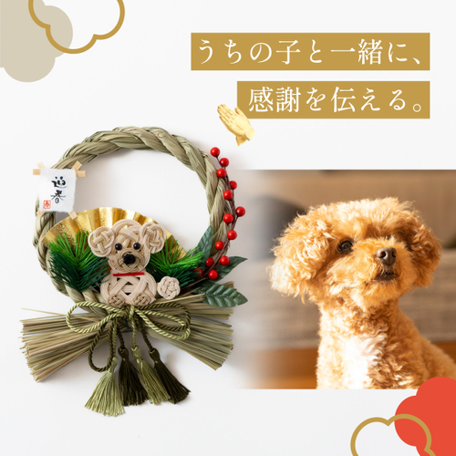 犬しめ縄 しめなワン