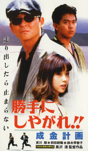 &copy;1996 Softgarage