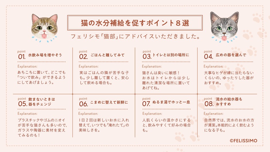 猫の水分補給を促すポイント8選