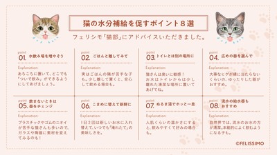 猫の水分補給を促すポイント8選