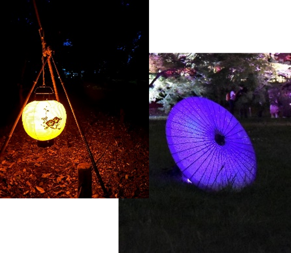 フォトスポットイメージ