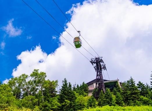 志賀高原・東館山高山植物園(イメージ)