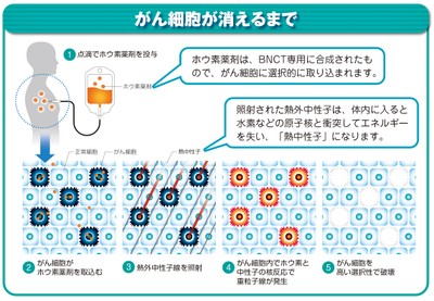 京都大学複合原子力科学研究所 提供