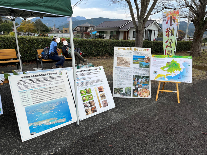 小笠原の魅力を伝える展示もありますよ