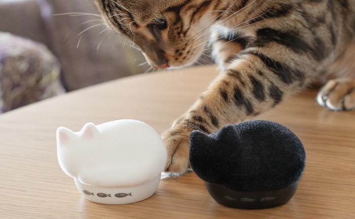 15_HP-C28BTF_猫とNEKO_3