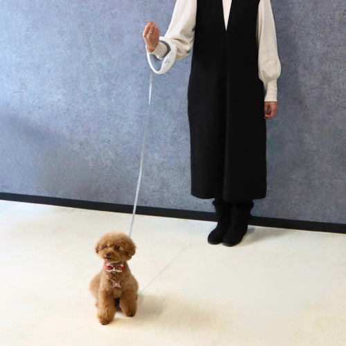 「腕が通せる伸縮リールリード」は散歩中、ハンズフリーになって便利。