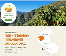 国際連合食糧農業機関から世界農業遺産に認定された
有田・下津地域の石積み階段園みかんシステム！
有田みかんをＪＡタウン「みかんの里 ありだ」ショップで販売