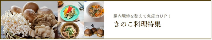 きのこ料理特集