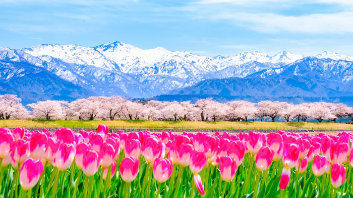 Photo by PIXTA　※画像はイメージです