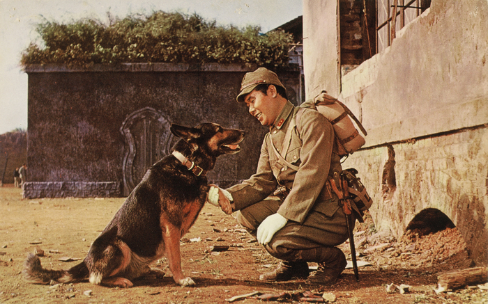 &copy;1964 松竹株式会社