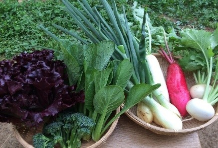 赤一商店【小江戸川越の採れたて野菜】 （イメージ）