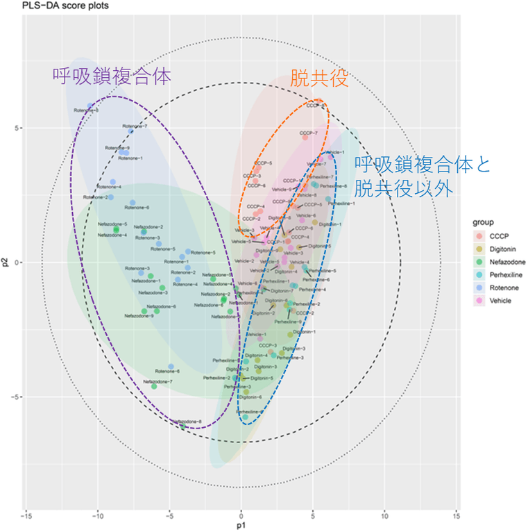 図1 各化合物を曝露したHepG2細胞、溶媒(DMSO)のみを曝露したHepG2細胞のメタボローム解析から得られたデータに多変量解析(PLS-DA)を行った結果 | 青色と緑色で示された円は呼吸鎖複合体阻害(ロテノン、ネファゾドン)、オレンジ色で示された円は脱共役(CCCP)のグループを示す。呼吸鎖複合体(紫色の破線で囲んだもの)、脱共役(オレンジ色の破線で囲んだもの)は、β酸化阻害(ペルヘキシリン)、陽性対照(ジギトニン)および溶媒(DMSO)のグループ(赤色の破線で囲んだもの)と良好に分離しており、これらの分子プロファイルが異なることを意味する。