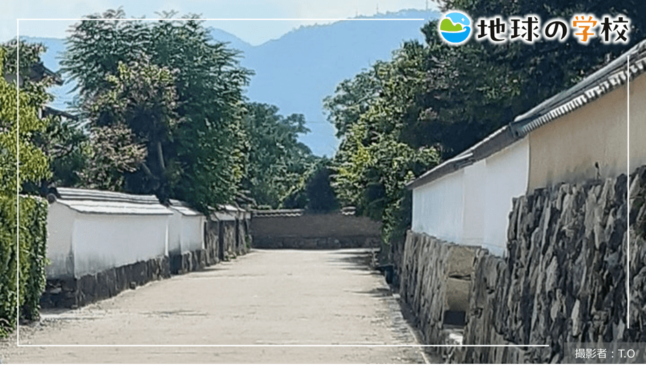 地球の学校ブログ_萩の伝統的建造物と夏みかん