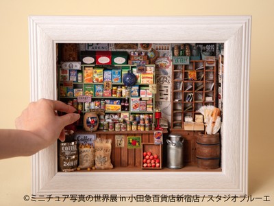 展示作品:スタジオブルーエ