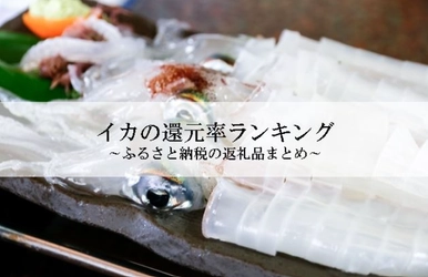 【2026年7月版】ふるさと納税でもらえる『イカ』の還元率ランキングを発表