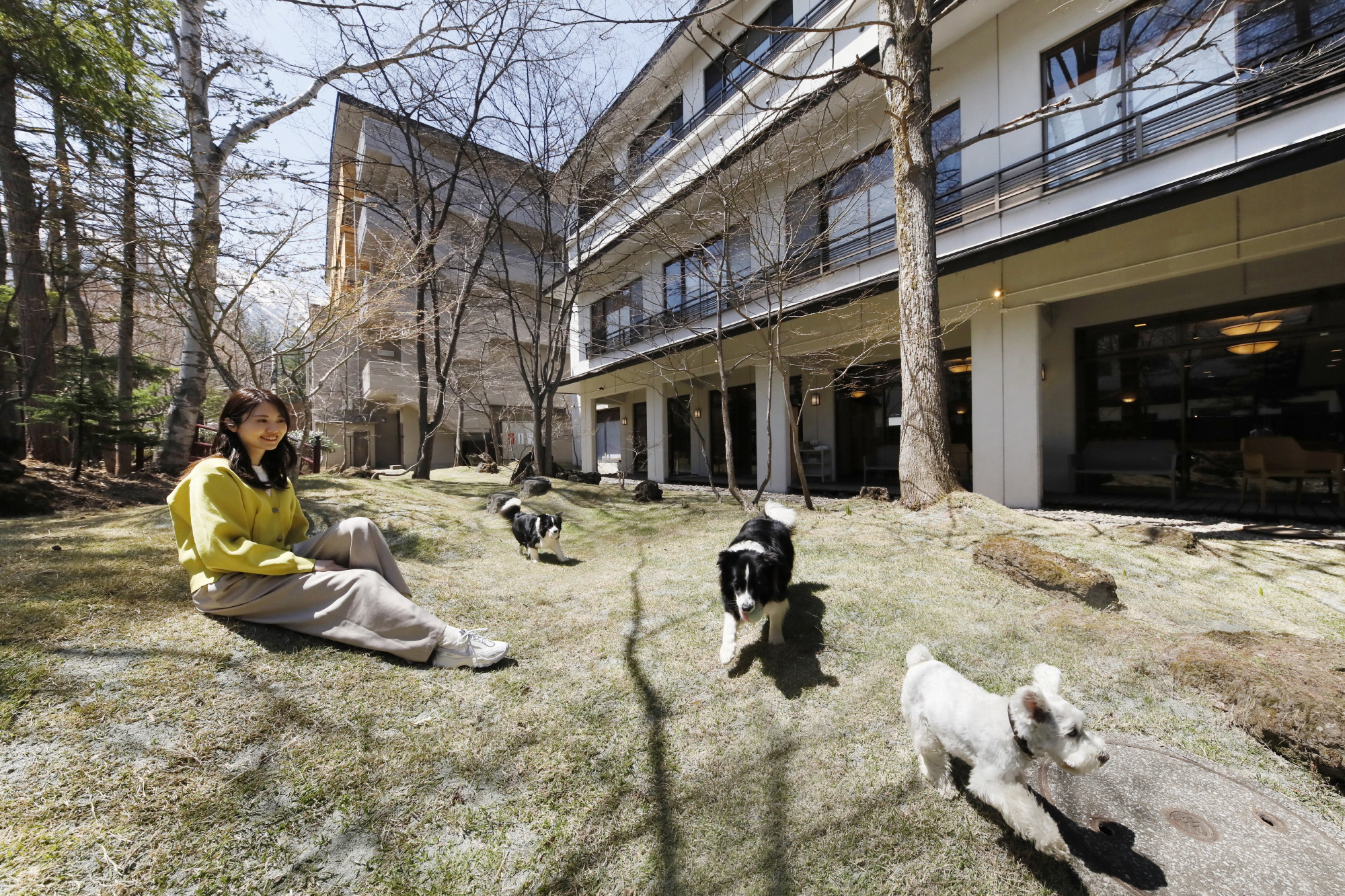 クッション性が高い天然芝を使用した＜中庭ドッグラン＞