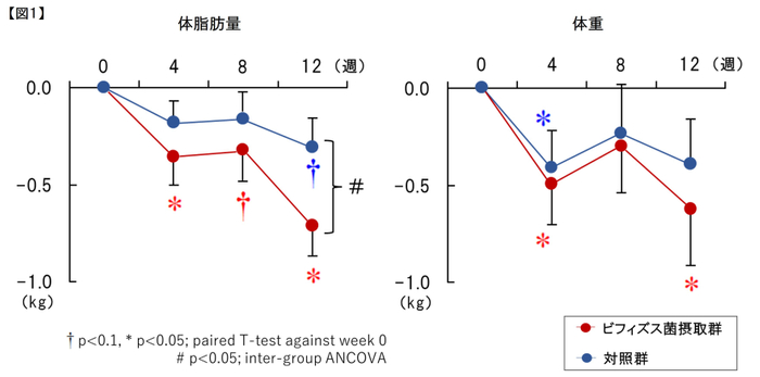 ビフィズス菌摂取による試験結果