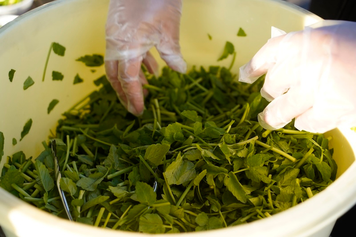 たるいっぱいのせり