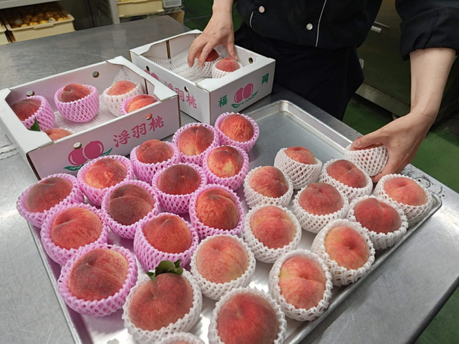 うきはの桃