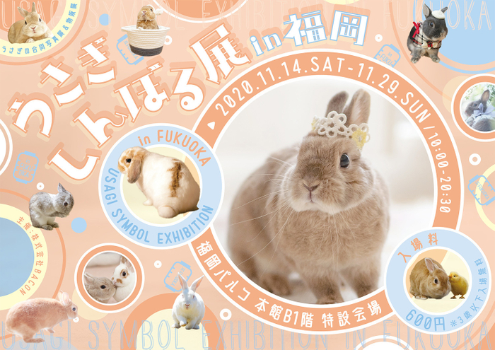 キービジュアル(横)