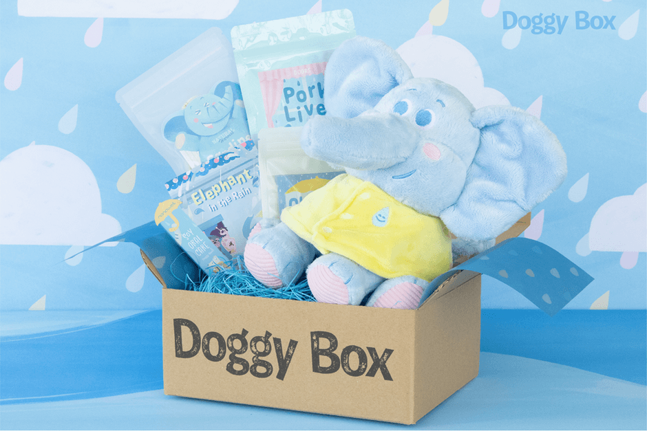 Doggy Box　※イメージ