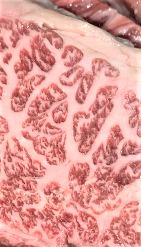 使用部位の例②