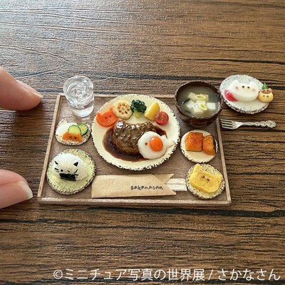 グッズ:さかなさん