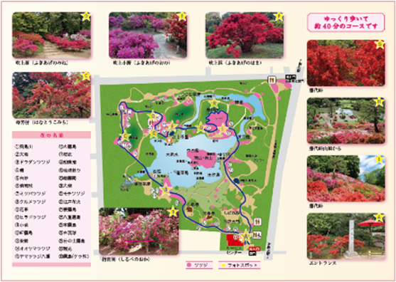 散策MAP（イメージ）