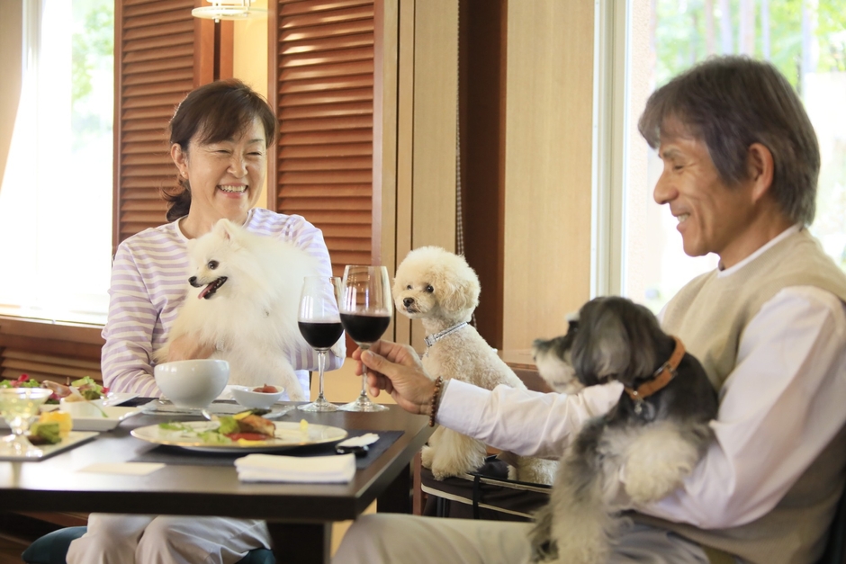 愛犬と一緒にお食事