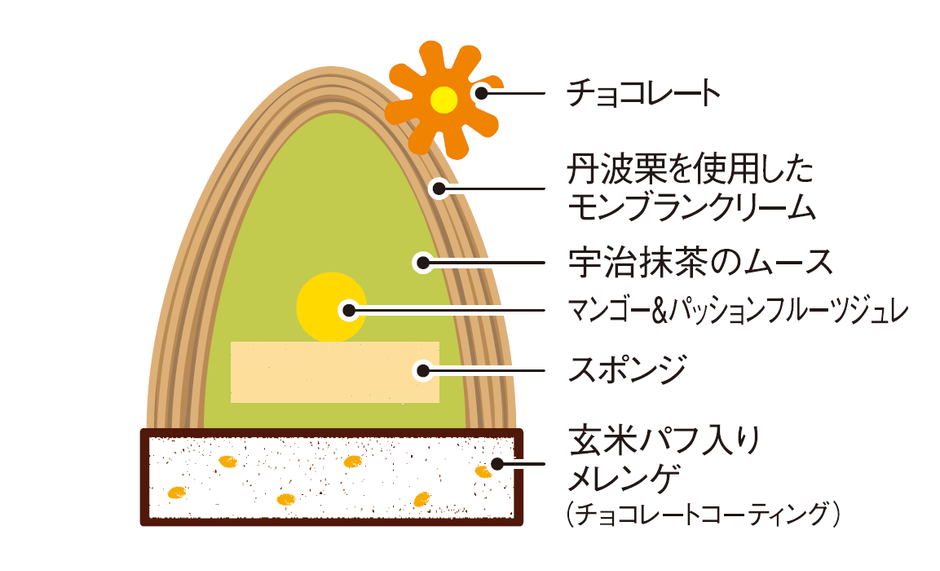 抹茶／断面図