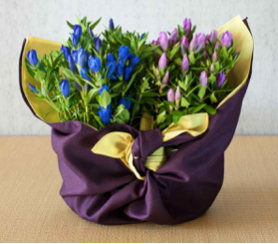 リンドウ を、京都の風呂敷メーカー『むす美』の風呂敷で包みお届け致します。