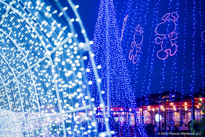 タオル美術館イルミネーション