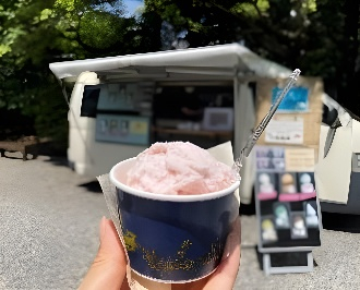 バラのジェラート（イメージ）