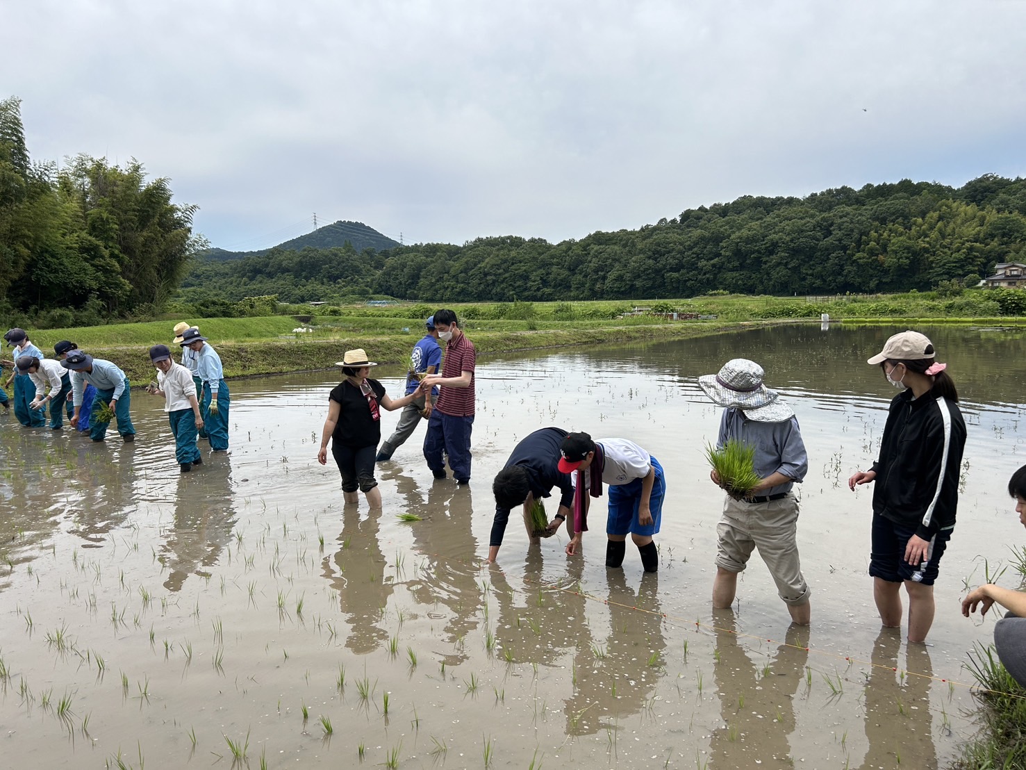 【農業（米づくり）】
