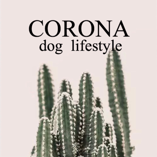coronadoglifestyle