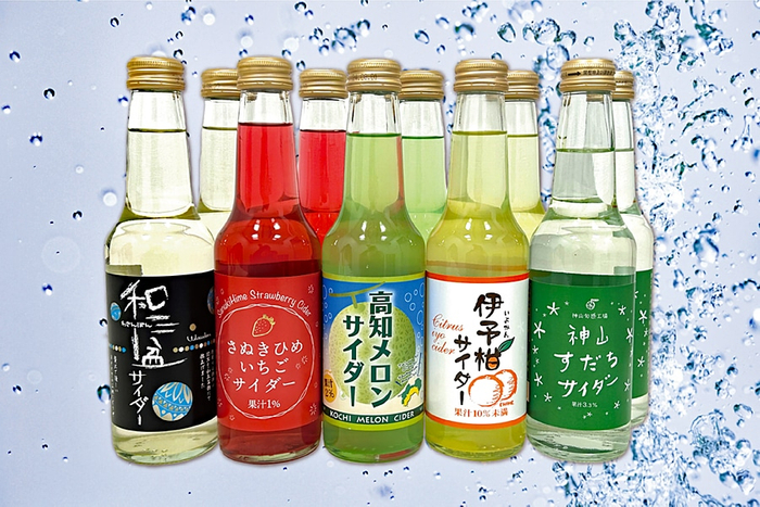 四国のご当地サイダー１０本詰合せ
