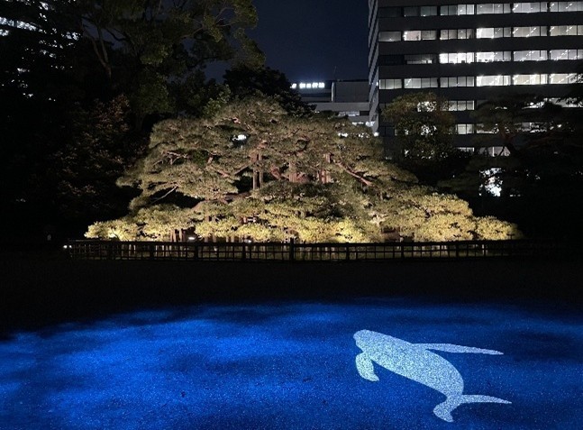 ライトアップ(イメージ)