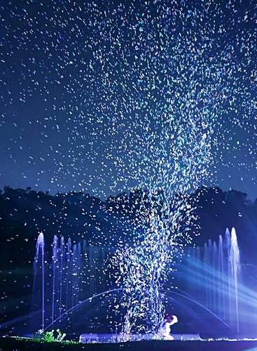 バブルミネーション