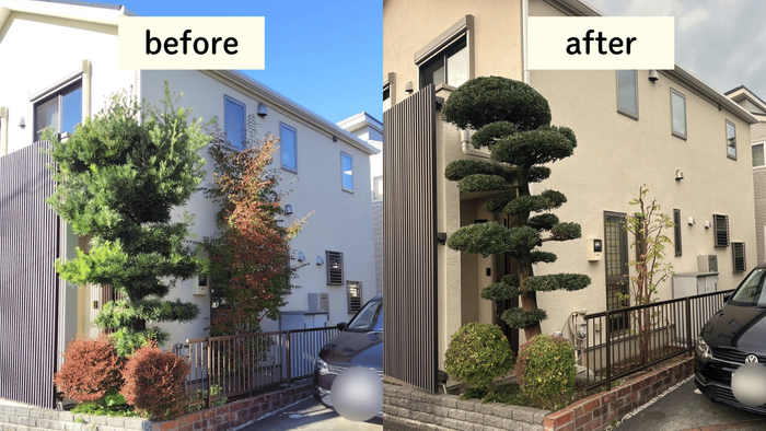 庭木の剪定