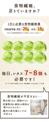 ランディングページ5