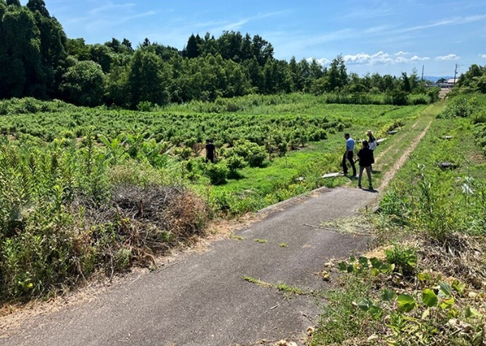 射水市大門・水戸田地域