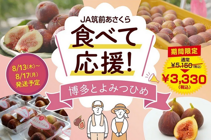 【食べて応援!特別価格！8/13～8/17発送予定】いちじく『博多とよみつひめ』約１.２ｋｇ
