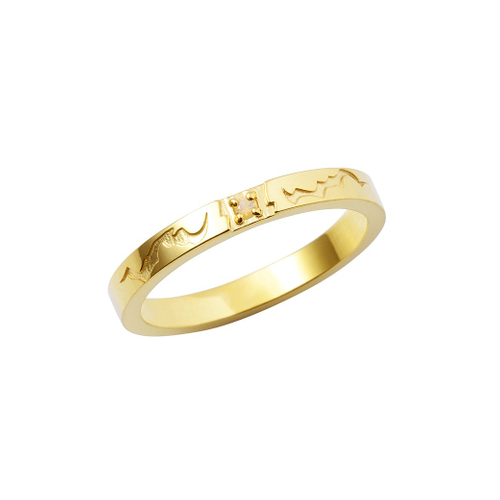 ●九頭竜 智生 モデル