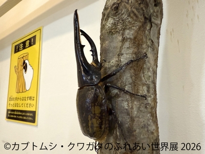 ふれあい体験(4)