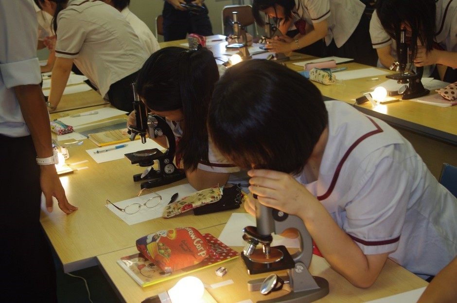 過去に行った近大マグロの胚体形成卵観察の様子