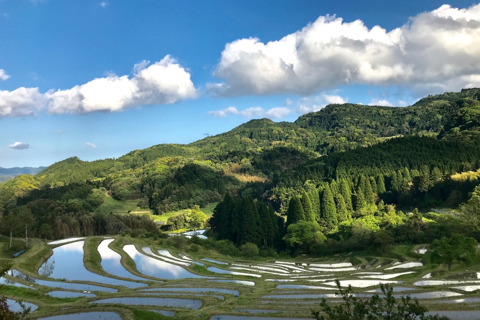 大山千枚田