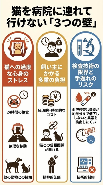 猫を動物病院へ連れて行く際には、猫へのストレス、飼い主様の負担、受診判断の難しさなど、さまざまなハードルがあります。