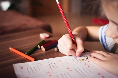 自律学習を支援する小学生向け夏期講習、IMR Educationが7月より開始